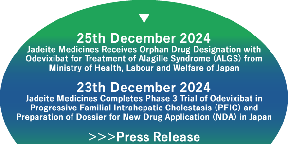 25th December 2024 Jadeite Medicines Receives Orphan Drug Designation with Odevixibat for Treatment of Alagille Syndrome (ALGS) from Ministry of Health, Labour and Welfare of Japan / 23th December 2024 Jadeite Medicines Completes Phase 3 Trial of Odevixibat in Progressive Familial Intrahepatic Cholestasis (PFIC) and Preparation of Dossier for New Drug Application (NDA) in Japan ＞＞＞Press Release